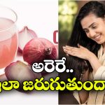 Onion Juice: నిజమా? ఉల్లితో ఏపుగా జుట్టు.. శాస్త్రవేత్తలు చెప్పింది వింటే ఏమైపోతారో!