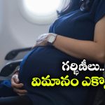Pregnant Women: గర్భిణీలు విమాన ప్రయాణం చెయ్యొచ్చా? నిపుణులు ఏం చెప్తున్నారంటే?