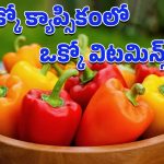 Capsicum: క్యాప్సికమంటే మొహం చిట్లించుకుంటున్నారా?.. శీతాకాలంలో తింటే లెక్కలేనన్ని ప్రయోజనాలు!