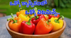 Capsicum: క్యాప్సికమంటే మొహం చిట్లించుకుంటున్నారా?.. శీతాకాలంలో తింటే లెక్కలేనన్ని ప్రయోజనాలు!
