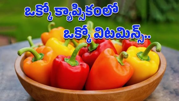 Capsicum: క్యాప్సికమంటే మొహం చిట్లించుకుంటున్నారా?.. శీతాకాలంలో తింటే లెక్కలేనన్ని ప్రయోజనాలు!