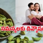 Cardamom: ఆరోగ్యమే కాదు.. శృంగార జీవితంలోనూ.. ఈ సుగంధ ద్రవ్యాల రాణి ఉండాల్సిందే!