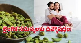 Jubilee By-election Exit Poll: జూబ్లీహిల్స్ ఎగ్జిట్ పోల్స్.. అత్యంత భారీ మెజారిటీతో ఆ పార్టీ గెలుపు