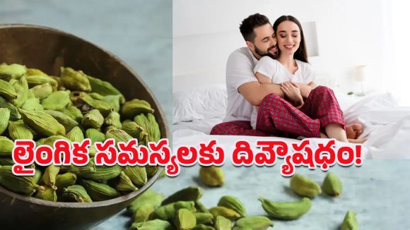 Cardamom: ఆరోగ్యమే కాదు.. శృంగార జీవితంలోనూ.. ఈ సుగంధ ద్రవ్యాల రాణి ఉండాల్సిందే!