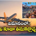 Ayyappa Devotees:  అయ్యప్ప భక్తులకు ప్రత్యేక వెసులుబాటు, విమానయాన శాఖ కీలక నిర్ణయం!