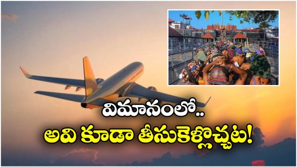 Ayyappa Devotees:  అయ్యప్ప భక్తులకు ప్రత్యేక వెసులుబాటు, విమానయాన శాఖ కీలక నిర్ణయం!