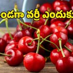 Cherries: సూపర్ ఫ్రూట్.. క్యాన్సర్ నుంచి కీళ్ల నొప్పుల వరకూ అన్నీ మటుమాయం!