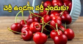 Cherries: సూపర్ ఫ్రూట్.. క్యాన్సర్ నుంచి కీళ్ల నొప్పుల వరకూ అన్నీ మటుమాయం!