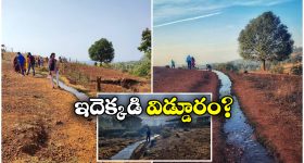 Health Tips: కొత్త చెప్పులు కరుస్తున్నాయా?.. ఈ సింపుల్ చిట్కాలతో ఆ సమస్యను తరిమి కొట్టండి!