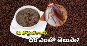 NNN Meaning : 'నో నట్స్ నవంబర్' పూర్తి మీనింగ్ చెప్పిన నిర్మాత... అబ్బాయిలు ఇలా నేర్చుకోండిరా