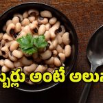 Cowpeas: ఎంతసేపూ చికనూ మటనేనా.. అలసందల్లోనూ పోషకాలు మెండుగుంటాయ్!