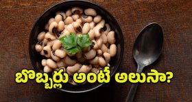 Goddess Laxmi: ఇంట్లోకి లక్ష్మీ దేవిని ఆకర్షించడానికి.. ఎలాంటి వాస్తు నియమాలు పాటించాలో తెలుసా ?
