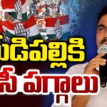 DCC Presidentship: మేడిపల్లికి.. డీసీసీ పగ్గాలు