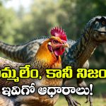 Chicken – Dinosaur: మీకు తెలుసా? కోడి కూడా డైనోసారే.. ఇవిగో దాని ఫ్యామిలీ డిటైల్స్!