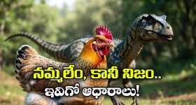 Husband Kills Wife: భార్యను చంపి సెల్ఫీ దిగిన భర్త.. మోసానికి మూల్యం చెల్లించుకున్నావ్ అంటూ క్యాప్షన్..