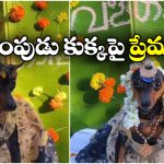 Viral Video: శునకానికి ఘనంగా శ్రీమంతం..  నెట్టింట వీడియో వైరల్!