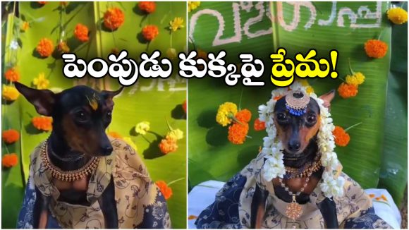 Viral Video: శునకానికి ఘనంగా శ్రీమంతం..  నెట్టింట వీడియో వైరల్!