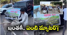 Donkeys Pulls Car: థార్ ను లాక్కెళ్లిన గాడిదలు.. మహీంద్రా రియాక్ట్ కాలేదా?