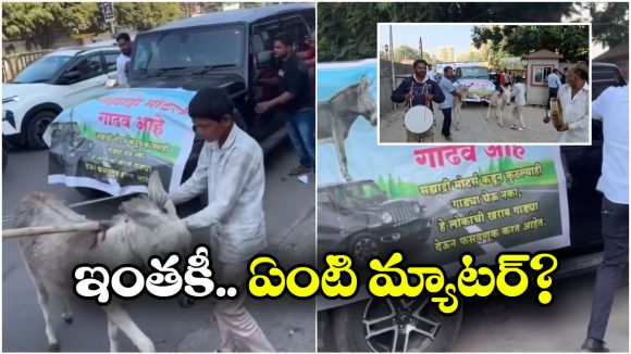 Donkeys Pulls Car: థార్ ను లాక్కెళ్లిన గాడిదలు.. మహీంద్రా రియాక్ట్ కాలేదా?