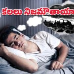 Dreams: తెల్లవారుజామున వచ్చే కలలు నిజమవుతాయా?.. ఈ విషయంలో సైన్స్ ఏం చెబుతోందంటే!