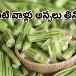 Drumstick: ఈ సమస్యలు ఉన్నవాళ్లు మునక్కాయల్ని తింటే అంతే సంగతులు!