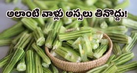 AP Fiber Grid Case: సీఎం చంద్రబాబుకు బిగ్ రిలీఫ్.. ఫైబర్ గ్రిడ్ కేసు క్లోజ్ చేసిన సీఐడీ