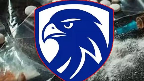 Eagle Team: గ్రేట్ ఈగల్ టీం..  ఢిల్లీలో 50 మంది నైజీరియన్ల అరెస్ట్, కేజీకి పైగా డ్రగ్స్ సీజ్