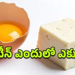 Eggs vs Paneer: ఈ రెండిట్లో బ్రేక్‌ఫాస్ట్‌‌కి ఏది బెస్ట్?.. దీని వెనుకున్న అసలు విషయం ఇదే!