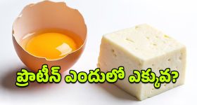 Gill-Shami : మాకు ఆ బౌలర్ అవసరమే లేదు.. షమీ పరువు తీసిన గిల్