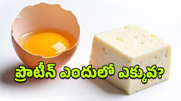 Eggs vs Paneer: ఈ రెండిట్లో బ్రేక్‌ఫాస్ట్‌‌కి ఏది బెస్ట్?.. దీని వెనుకున్న అసలు విషయం ఇదే!