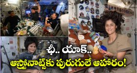 Astronauts: ఇకపై అంతరిక్షంలో పురుగులు, మిడతలు తిననున్న వ్యోమగాములు.. ఎందుకంటే?