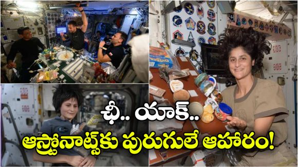 Astronauts: ఇకపై అంతరిక్షంలో పురుగులు, మిడతలు తిననున్న వ్యోమగాములు.. ఎందుకంటే?