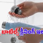 Flask Bottle: ఫ్లాస్క్ బాటిల్స్ క్లీనింగ్‌లో ఈ విషయాలను తప్పకుండా గుర్తుంచుకోండి!