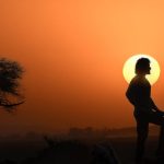 Globe Trotter Release: గ్లోబ్ ట్రాటర్ రిలీజ్ డేట్ లీక్… ఆ నెలను టార్గెట్ చేసిన జక్కన్న!