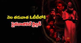 OTT Movie : అమ్మాయి కోసం అడవుల్లో వెతుకుతూ పోలీస్ అదృశ్యం... ఇంటెన్స్ సస్పెన్స్ థ్రిల్లర్