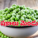 Green Peas: చిన్నా పెద్దా అందరూ తినొచ్చు.. పచ్చి బఠానీలు పలు వ్యాధులకు తిరుగులేని దివ్యౌషధం!