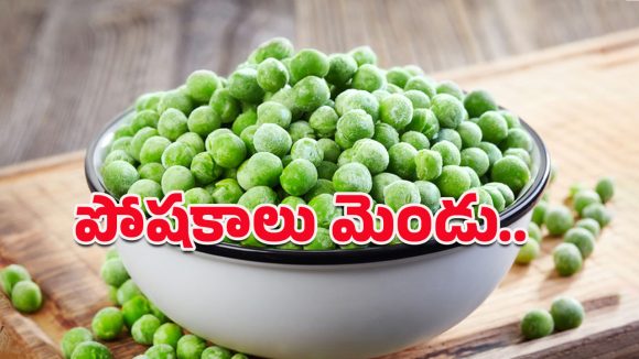 Green Peas: చిన్నా పెద్దా అందరూ తినొచ్చు.. పచ్చి బఠానీలు పలు వ్యాధులకు తిరుగులేని దివ్యౌషధం!