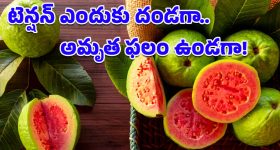 Guava Benefits: జామపండు ఎందుకు తినాలో ఈ కారణాలు తెలిస్తే.. ఆశ్చర్యపోవడం మీ వంతు!