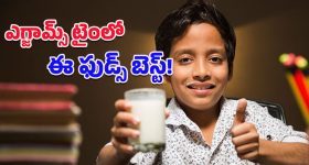 Healthy Foods For Children: పరీక్షల సమయంలో పిల్లల జ్ఞాపకశక్తి‌ని పెంచే బెస్ట్ ఫుడ్స్ ఇవే!