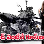 Himalayan Royal Enfield: రోడ్డుపై ఈ రాయల్ ఎన్‌ఫీల్డ్ సౌండ్ మొదలైతే… గాలి కూడా  పక్కకు తప్పుకోవాలి