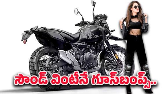 Himalayan Royal Enfield: రోడ్డుపై ఈ రాయల్ ఎన్‌ఫీల్డ్ సౌండ్ మొదలైతే… గాలి కూడా  పక్కకు తప్పుకోవాలి