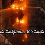 HongKong fire accident: హాంగ్‌కాంగ్ ఫైర్ యాక్సిడెంట్ ఎలా జరిగింది? అంత త్వరగా మంటలు వ్యాపించడానికి కారణాలేమిటీ?