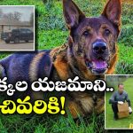 Murder Mystery: మూడు నెలలుగా కనిపించని యజమాని.. కుక్కల మలంలో దొరికినవి చూసి పోలీసులు షాక్!