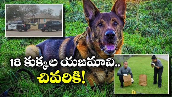 Murder Mystery: మూడు నెలలుగా కనిపించని యజమాని.. కుక్కల మలంలో దొరికినవి చూసి పోలీసులు షాక్!
