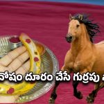 Vastu Tips: గుర్రపు నాడా ఇంటి గుమ్మానికి కట్టుకుంటే మంచిదా? ఆచారం వెనుక ఉన్న అర్థం ఏమిటి?
