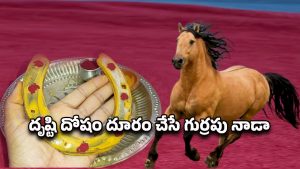 Vastu Tips: గుర్రపు నాడా ఇంటి గుమ్మానికి కట్టుకుంటే మంచిదా? ఆచారం వెనుక ఉన్న అర్థం ఏమిటి?