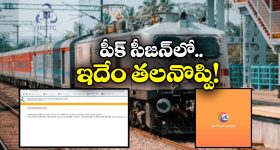 Nellore Mayor: నెల్లూరు మేయర్‌పై అవిశ్వాసం