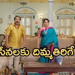 Illu Illalu Pillalu Today Episode: ధీరజ్ ను ఆడుకున్న ప్రేమ.. మోసపోయిన భాగ్యం.. నిర్దోషిగా బయటకొచ్చిన నర్మద..
