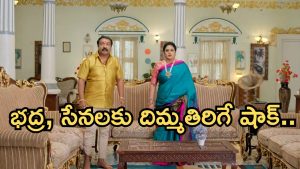 Illu Illalu Pillalu Today Episode: ధీరజ్ ను ఆడుకున్న ప్రేమ.. మోసపోయిన భాగ్యం.. నిర్దోషిగా బయటకొచ్చిన నర్మద..