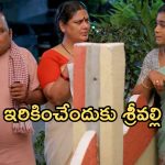 Illu Illalu Pillalu Today Episode: అమూల్యకు విశ్వం గిఫ్ట్.. ప్రేమ కాళ్ళు పట్టుకున్న ధీరజ్.. నర్మదకు శ్రీవల్లి షాక్..